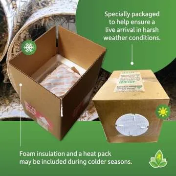 Josh's Frogs 1" Large Adult Banded Crickets (500 Count)