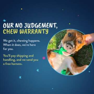 No Pull Dog Harness | Comfort & Control for Easy Walks