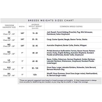 No Pull Dog Harness | Comfort & Control for Easy Walks