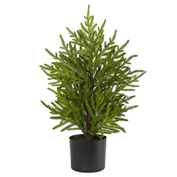 Nearly Natural 2ft Norfolk Pine Tree Ideal for Holiday Decor