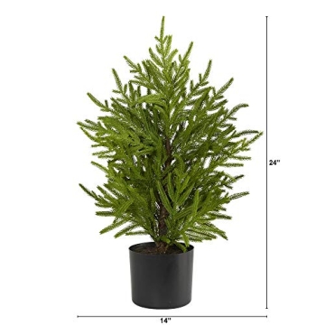 Nearly Natural 2ft Norfolk Pine Tree Ideal for Holiday Decor