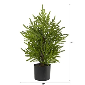 Nearly Natural 2ft Norfolk Pine Tree Ideal for Holiday Decor