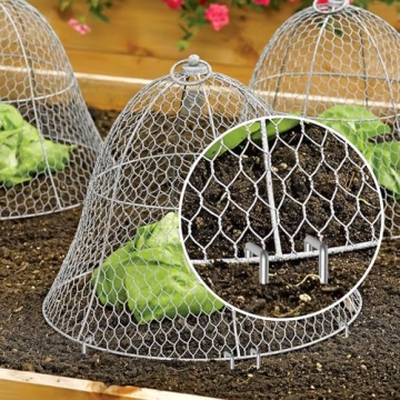 Buy AAGUT 25 Pack Heavy Duty Garden Stakes, 12 Inch