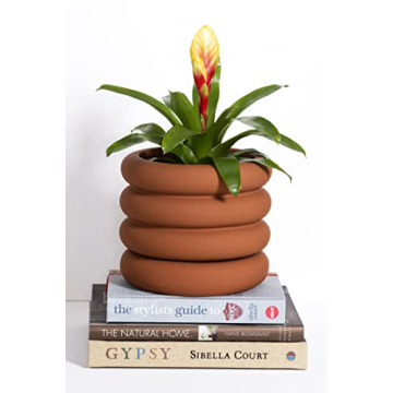 Boho Show Ceramic Planter - 6.5 Inch Matte Clay Pot