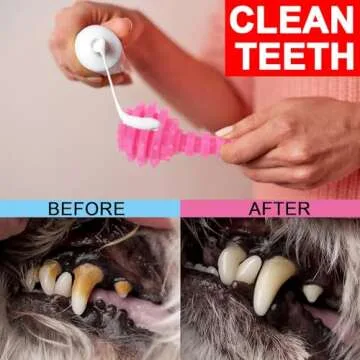 CGBD Puppy Chew Toys Set for Small Dogs 6 Pack