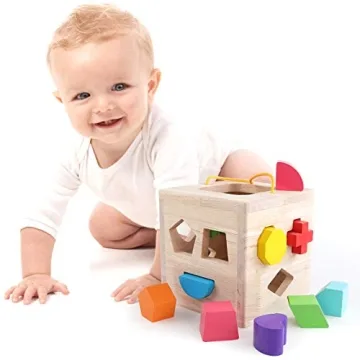 GEMEM Shape Sorter Toy for Toddlers 18 Months to 3 Years