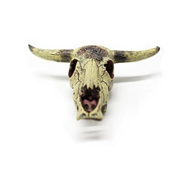 Leoyoubei Aquarium Decoration Skull for Fish and Turtles
