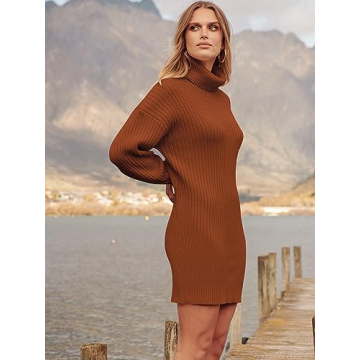 ANRABESS Women Oversized Sweater Dress Turtleneck Batwing Long Sleeve