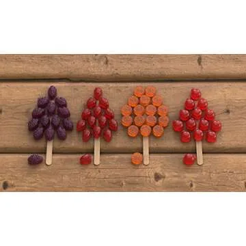 Black Forest Organic Fruit Snacks, Mixed Fruit, 0.8 Ounce, Pack of 24