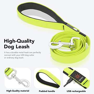 Colaseeme 4FT LED Dog Leash - Rechargeable Safety Glow Leash Green