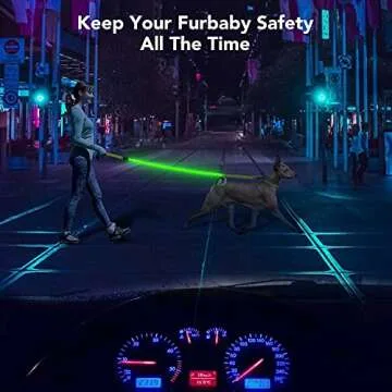 LED Light Up Dog Leash for Night Safety