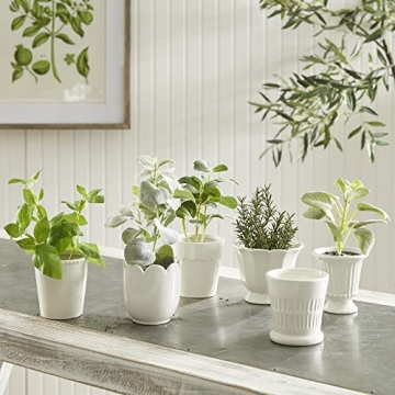 Napa Home Mirabelle Mini Cachepots Set White for Gifts