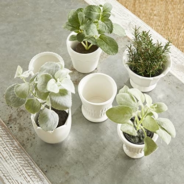 Napa Home Mirabelle Mini Cachepots Set White for Gifts