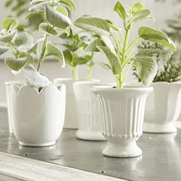 Napa Home Mirabelle Mini Cachepots Set White for Gifts