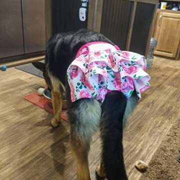 Wegreeco Washable Dog Diapers for Female Dogs - X-Large