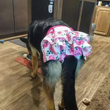 Wegreeco Washable Dog Diapers for Female Dogs - X-Large