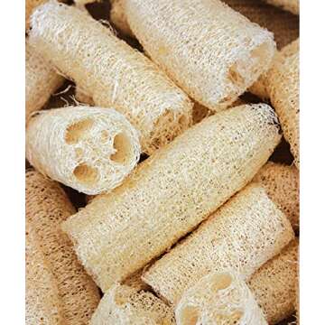 Burpee Ornamental Luffa Gourd Seeds 25 seeds