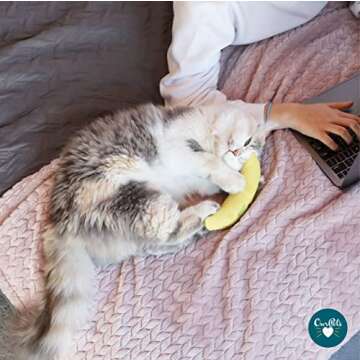 Cosmic OurPets 100-Percent North American Catnip Filled Cat Toy-Hot Stuff (Interactive Cat Toy, Toys...