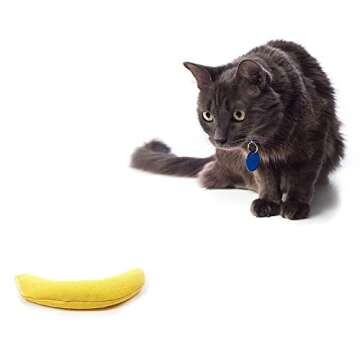 Cosmic OurPets 100-Percent North American Catnip Filled Cat Toy-Hot Stuff (Interactive Cat Toy, Toys for Indoor Cats, Catnip Toys) - A-PEELING