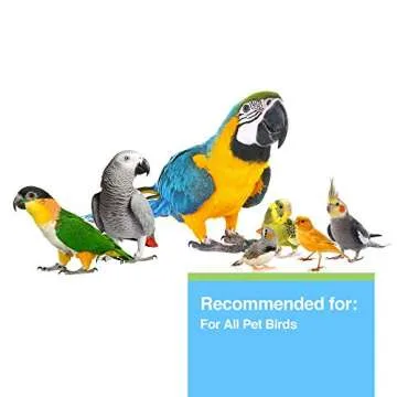 Hagen Clay-Cal Bentonite Clay Supplement for All Birds