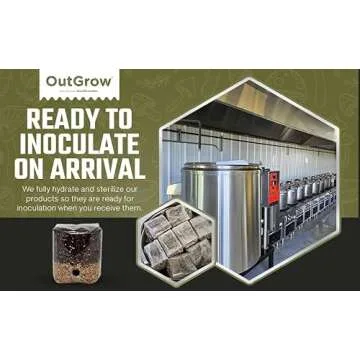 Mini All in One Mushroom Grow Bag for Easy Cultivation