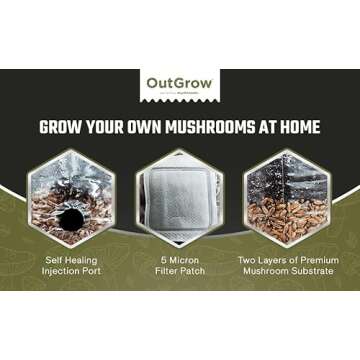 Mini All in One Mushroom Grow Bag for Easy Cultivation