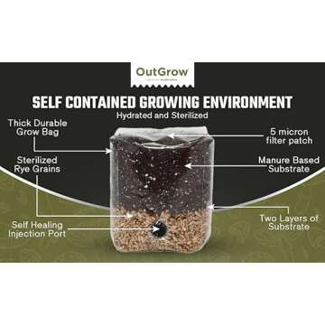 Mini All in One Mushroom Grow Bag for Easy Cultivation