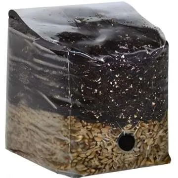 Mini All in One Mushroom Grow Bag for Easy Cultivation