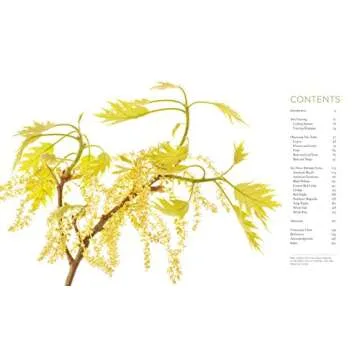 Discover Extraordinary Tree Secrets | Seeing Trees Book