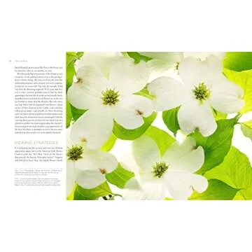 Discover Extraordinary Tree Secrets | Seeing Trees Book