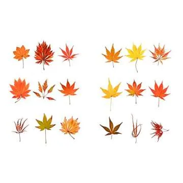 Discover Extraordinary Tree Secrets | Seeing Trees Book