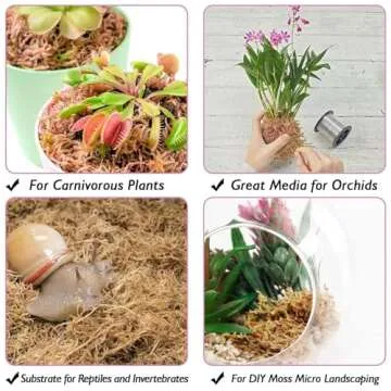 Halatool Natural Sphagnum Moss 60QT for Orchids and Plants