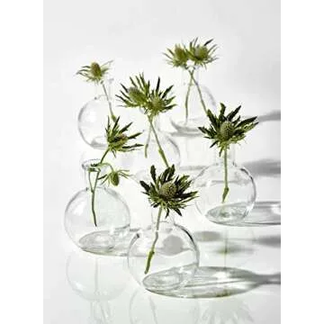 Serene Spaces Living Set of 6 Small Clear Ball Bud Vases, Transparent Glass Vases for Weddings, Events, Parties, Floral Centerpieces for Home Decor, Measures 4" Tall