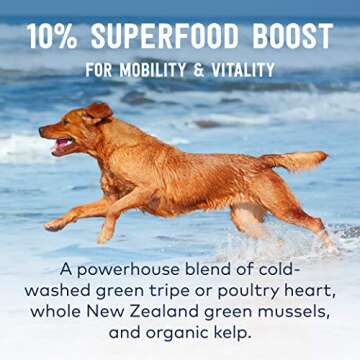 ZIWI Peak Beef Training Treats - Natural & Healthy