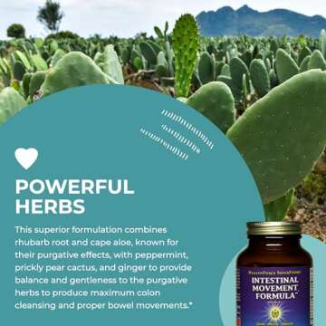 Intestinal Movement Formula - Herbal Natural Laxative Capsules