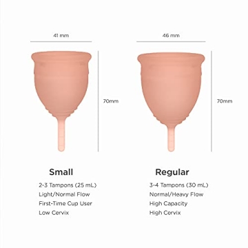 Saalt Soft Menstrual Cup - Best Sensitive Reusable Period Cup - Wear for 12 Hours - Tampon and Pad Alternative (Regular (Pack of 1), Desert Blush)