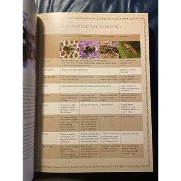 The Beekeeper's Bible: Bees, Honey, Recipes & Other Home Uses