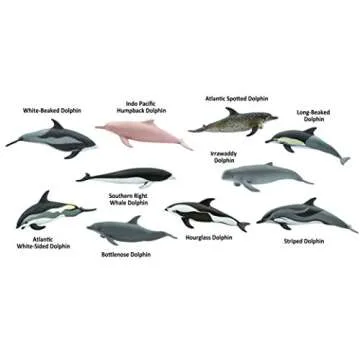 Safari Ltd Dolphin TOOB - 10 Educational Miniature Dolphins