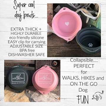 Lucky Love Dog Travel Dog Bowl, Collapsible Compact Water Dog Dish, Rose