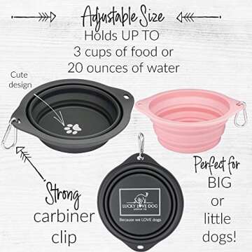 Lucky Love Dog Travel Dog Bowl, Collapsible Compact Water Dog Dish, Rose