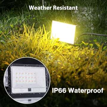 30W LED Flood Light Outdoor, 2700K Warm White RGB Flood Lights with Remote, DIY Color Changing Outdoor Lights, IP66 Waterproof Uplights for Events, Uplighting for Christmas, LED Stage Lights 2 Pack