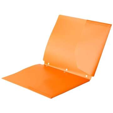 Amazon Basics Plastic 3 Hole Punch Folders with 2 Pockets, 8.5 x 11 inches, Pack of 6, Assorted Color