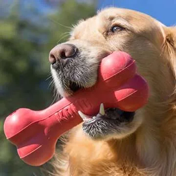 KONG Goodie Bone - Classic Durable Natural Rubber Dog Bone, Supports Mental Engagement - Treat Dispe...
