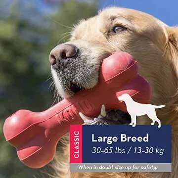 KONG Goodie Bone - Durable Dog Toy for Large Dogs