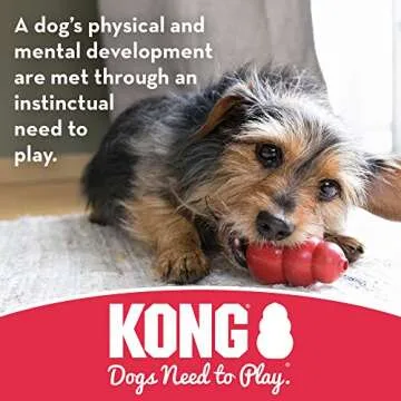 KONG Goodie Bone - Durable Dog Toy for Large Dogs
