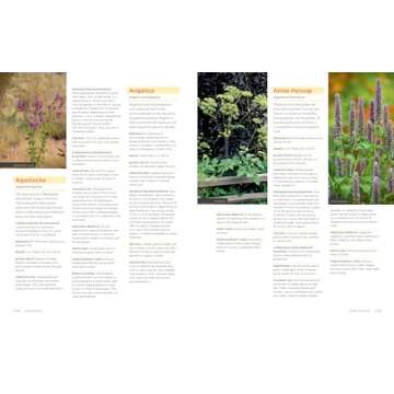 Homegrown Herbs: A Complete Guide to Growing, Using, and Enjoying More than 100 Herbs