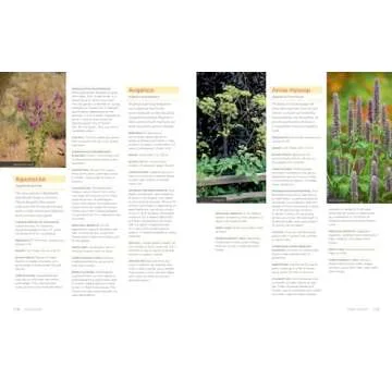 Homegrown Herbs: A Complete Guide to Growing, Using, and Enjoying More than 100 Herbs