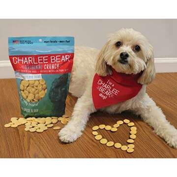 Charlee Bear Original Dog Treats, Cheese and Egg, 16 oz