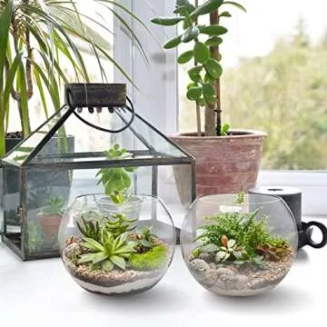 YOUEON 4 Pack Glass Bubble Bowl Vases, 6" W x 4.5" H Glass Terrarium Bowls Fish Bowls Round Glass Vase Candle Holders, Globe Flower Vase Centerpiece for Wedding Event Home Decor