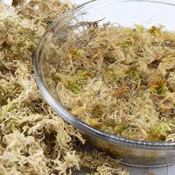 Caverythfit Long Fiber Sphagnum Moss for Planet Enthusiasts
